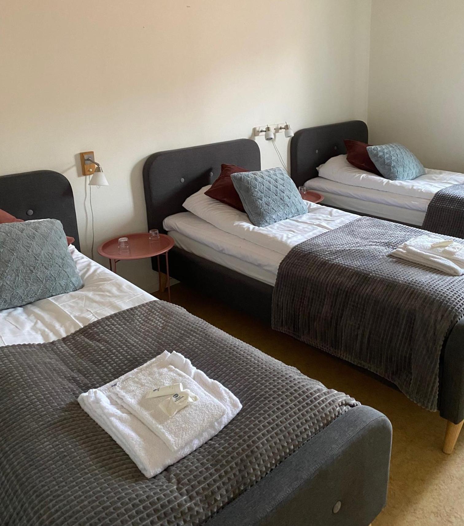 Snoea Bruk Hotell Och Konferens Dala-Jarna Bagian luar foto