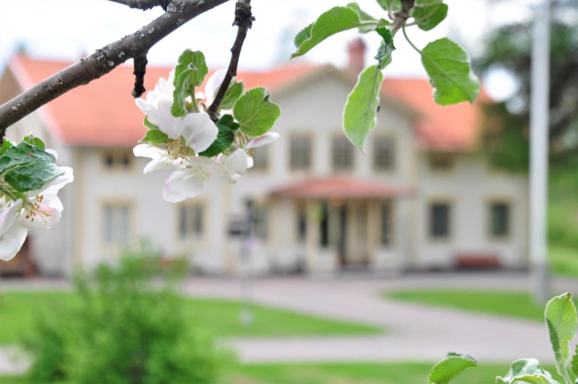 Snoea Bruk Hotell Och Konferens Dala-Jarna Bagian luar foto